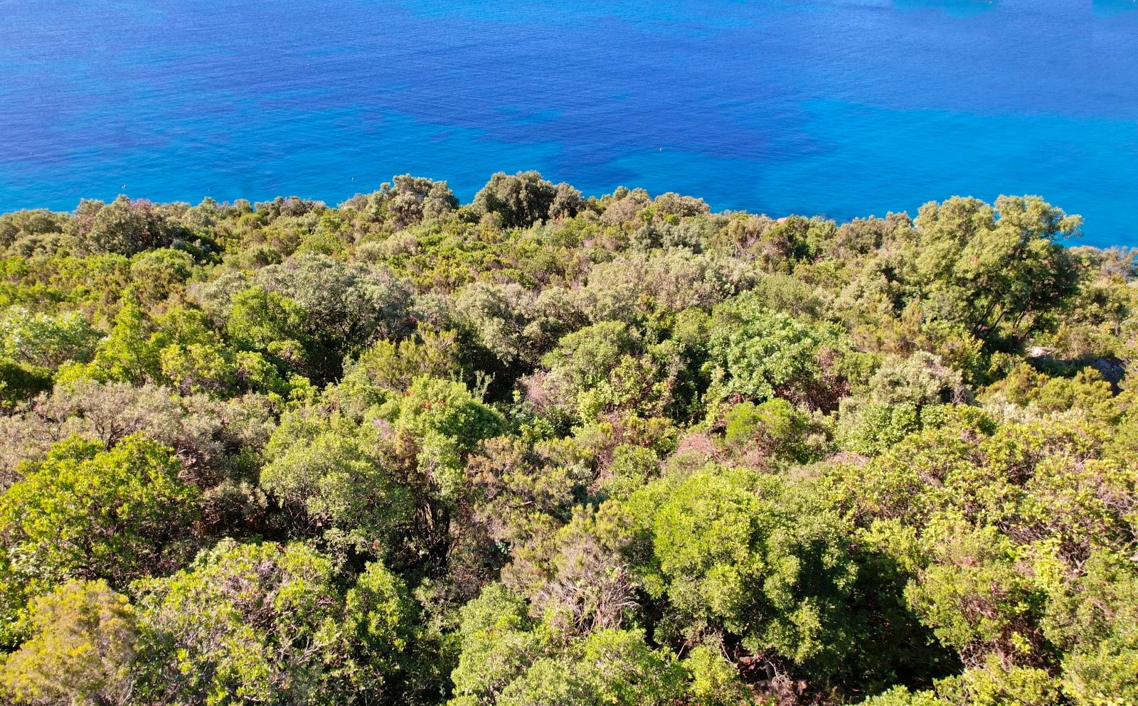 Atraktivno građevinsko zemljište uz more | Prekrasan pogled na otvoreno more | Raj na zemlji! | Dubrovnik okolica